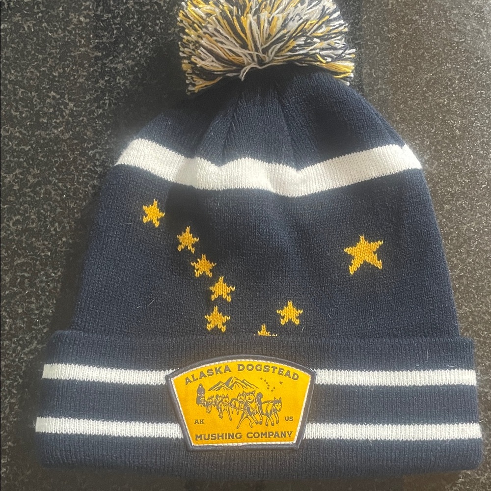 Alaska Dogstead  -Navy and Yellow Kids Beanie